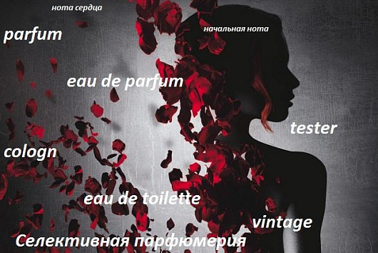 Словарь терминов интернет-магазина духов и косметики Parfume Paradise